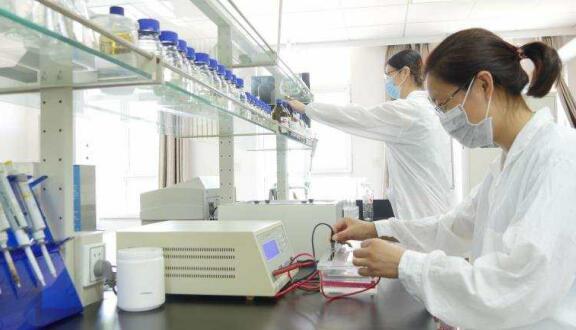 一個(gè)女企業(yè)家的現(xiàn)代農(nóng)業(yè)之夢(mèng)——訪領(lǐng)先生物農(nóng)業(yè)股份有限公司董事長(zhǎng)徐志文 一個(gè)女企業(yè)家的現(xiàn)代農(nóng)業(yè)之夢(mèng)——訪領(lǐng)先生物農(nóng)業(yè)股份有限公司董事長(zhǎng)徐志文